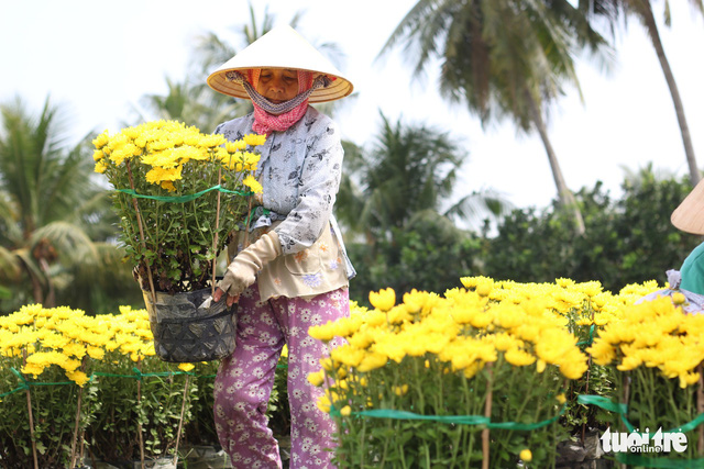 Hàng triệu giỏ hoa Mỹ Tho đang đổ về Sài Gòn, Bình Dương, Tây Ninh... - Ảnh 1.