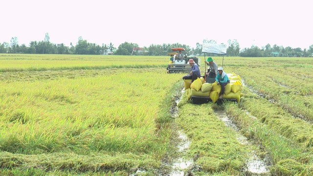 171 căn nhà ở Bạc Liêu bị sập và tốc mái do lốc xoáy - Ảnh 4. 171 căn nhà ở Bạc Liêu bị sập và tốc mái do lốc xoáy - Ảnh 4.