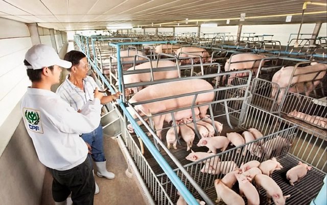 Nông nghiệp châu Á cầu cứu công nghệ - Ảnh 1.