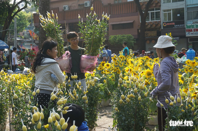 Hoa tết trưa 30 giảm giá hơn phân nửa - Ảnh 2. Hoa tết trưa 30 giảm giá hơn phân nửa - Ảnh 2.