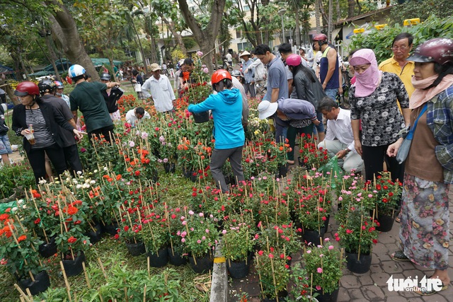 Hoa tết trưa 30 giảm giá hơn phân nửa - Ảnh 6. Hoa tết trưa 30 giảm giá hơn phân nửa - Ảnh 6.