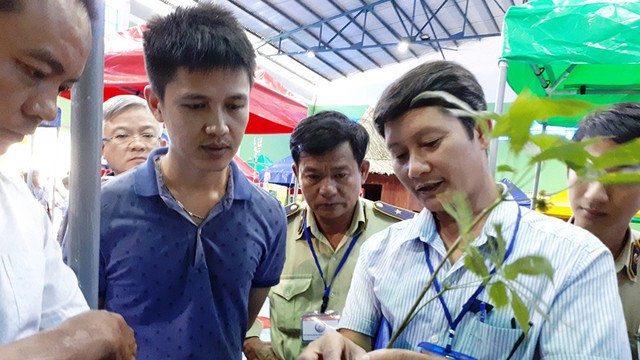 Ông cán bộ sâm - Ảnh 1.