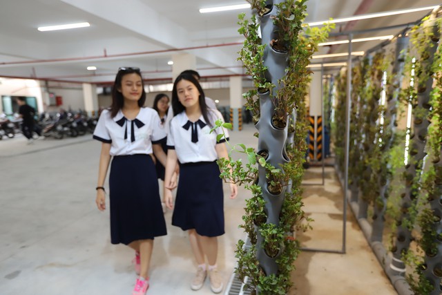 180 học sinh lớp 10 mời cha mẹ, thầy cô đầu tư kinh doanh trong trường - Ảnh 3. 180 học sinh lớp 10 mời cha mẹ, thầy cô đầu tư kinh doanh trong trường - Ảnh 3.