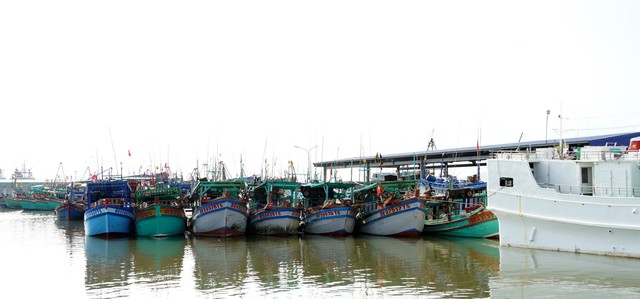 Kiên quyết không cho tàu cá không gắn định vị xuất biển - Ảnh 2. Kiên quyết không cho tàu cá không gắn định vị xuất biển - Ảnh 2.