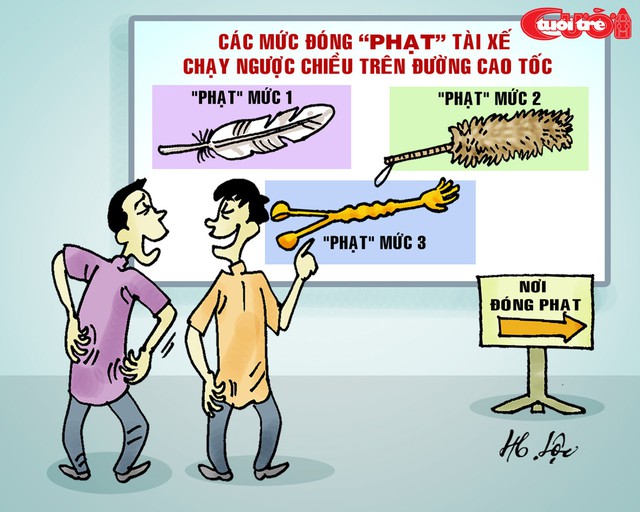 Những người thích ngược dòng - Ảnh 3.