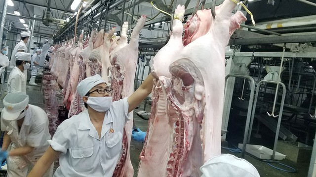 Kiểm soát chặt nguồn heo vào TP.HCM - Ảnh 1.