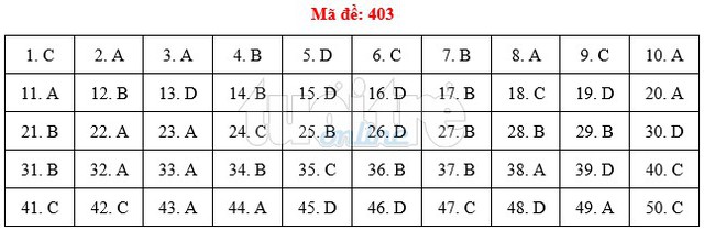 Bài giải gợi ý môn tiếng Anh THPT quốc gia 2019 - đủ 24 mã đề - Ảnh 4.