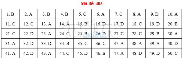 Bài giải gợi ý môn tiếng Anh THPT quốc gia 2019 - đủ 24 mã đề - Ảnh 6.