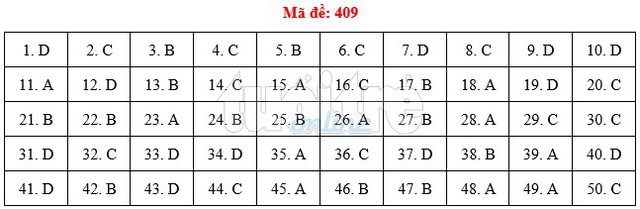 Bài giải gợi ý môn tiếng Anh THPT quốc gia 2019 - đủ 24 mã đề - Ảnh 10.