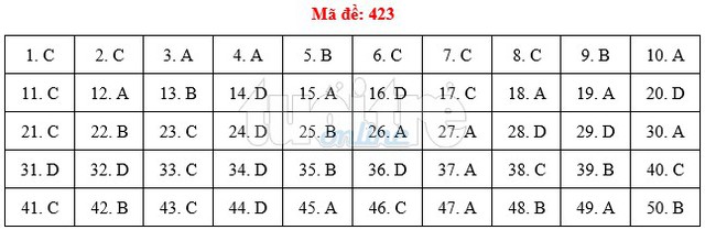 Bài giải gợi ý môn tiếng Anh THPT quốc gia 2019 - đủ 24 mã đề - Ảnh 24.