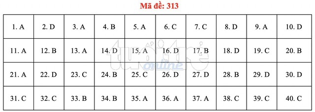 Bài giải gợi ý môn lịch sử THPT quốc gia 2019 - đủ 24 mã đề - Ảnh 14.