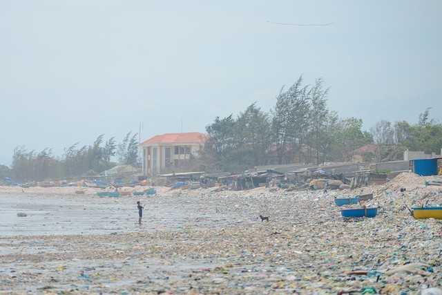 Đường bờ biển đang ngộp thở: phải hành động ngay - Ảnh 2.