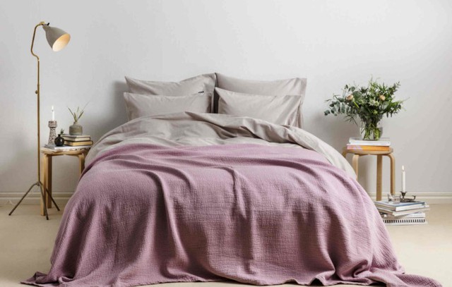 Xanh hóa ngôi nhà để sống khỏe mạnh hơn - Ảnh 5.