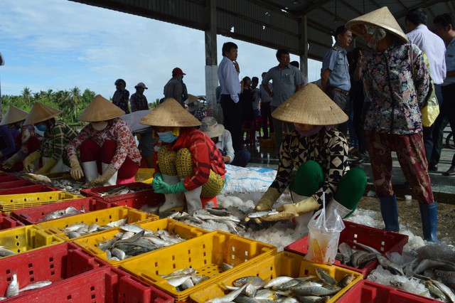 Chuyển từ khai thác sang nuôi biển để giữ tài nguyên cho đời sau - Ảnh 1.