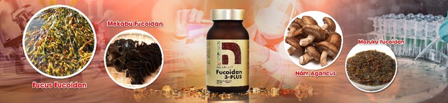 Hoạt chất trong rong nâu hỗ trợ ức chế khối u ung thư - Ảnh 2. Hoạt chất trong rong nâu hỗ trợ ức chế khối u ung thư - Ảnh 2.