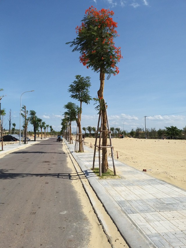 Đầu tư ở tỉnh, bất động sản ven biển là sản phẩm đỉnh - Ảnh 1.