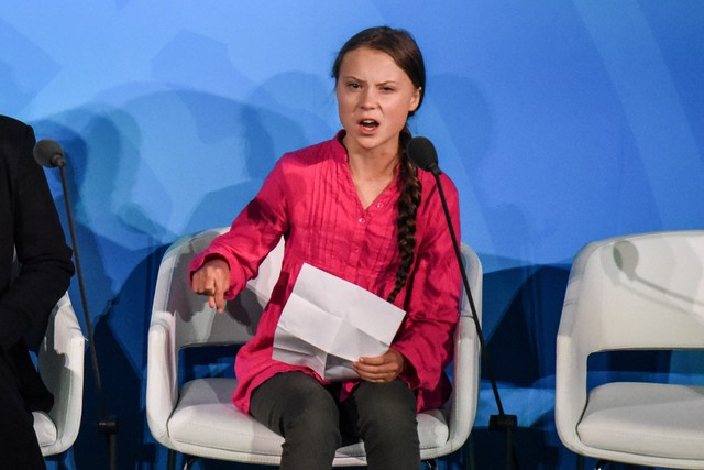‘Cô bé môi trường’ Greta Thunberg chụp ảnh cùng khủng bố IS? - Ảnh 1.