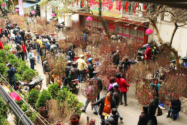 Hội Xuân 2020 Tết thuần chay - Ảnh 1.