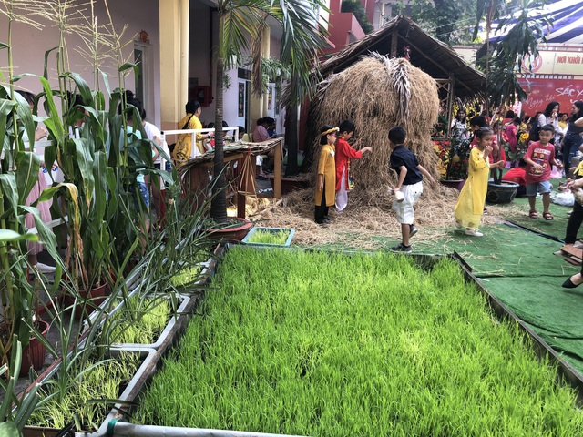 Cánh đồng quê giữa trường tiểu học trung tâm TP.HCM - Ảnh 1.