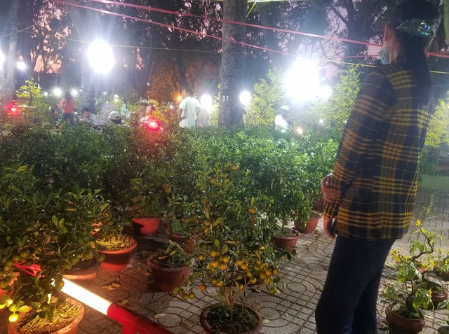 Cúc, quất... giá giảm hơn một nửa, dân Sài Gòn đổ xô đi mua - Ảnh 6. Cúc, quất... giá giảm hơn một nửa, dân Sài Gòn đổ xô đi mua - Ảnh 6.