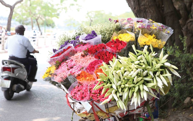 Em ơi, Hà Nội hoa - Ảnh 1.