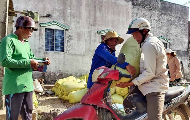 Cà Mau: kênh rạch khô cạn, dân khó bán được lúa - Ảnh 1.