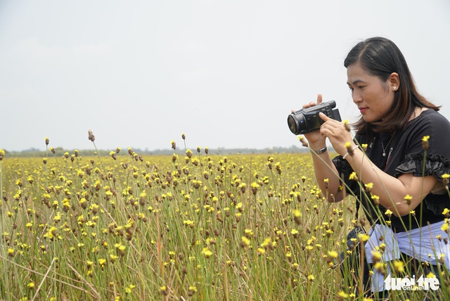 Hoàng đầu ấn - loài hoa người xưa gặp là sợ, giờ thành điểm check-in - Ảnh 7. Hoàng đầu ấn - loài hoa người xưa gặp là sợ, giờ thành điểm check-in - Ảnh 7.