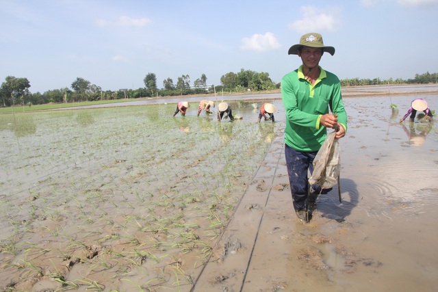 Nông dân đang nghèo hơn - Ảnh 1.