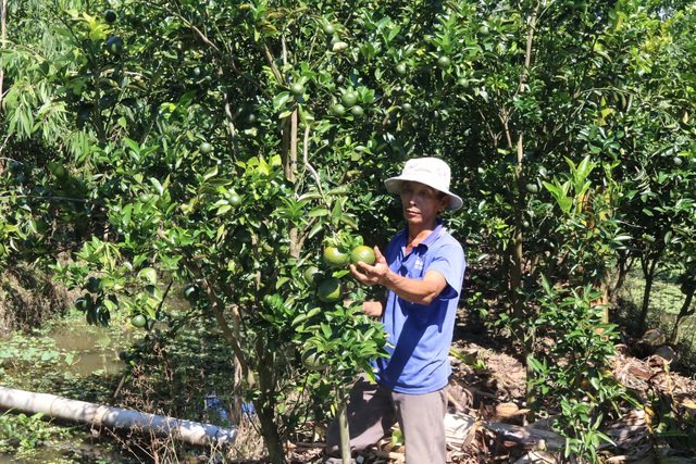 5 năm, nông dân Cần Thơ được vay hơn 1.000 tỉ phát triển kinh tế - Ảnh 1.