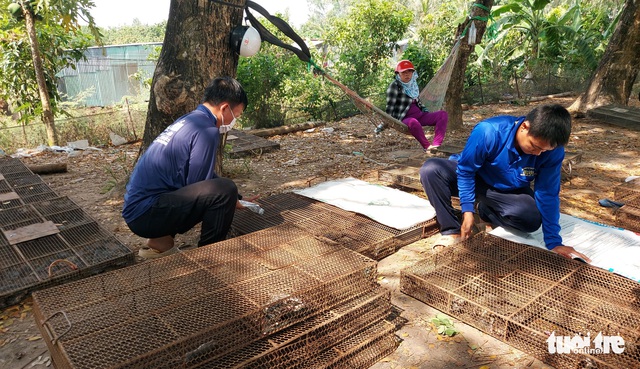 Nhộn nhịp chợ chuột đồng nơi biên giới: Mua bao nhiêu bán hết bấy nhiêu - Ảnh 3.