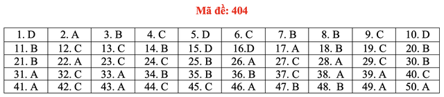 Đề và bài giải môn ngoại ngữ kỳ thi tốt nghiệp THPT 2021 - Ảnh 9.