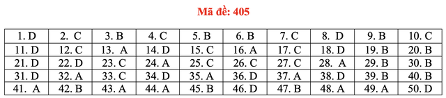 Đề và bài giải môn ngoại ngữ kỳ thi tốt nghiệp THPT 2021 - Ảnh 10.