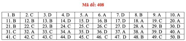 Đề và bài giải môn ngoại ngữ kỳ thi tốt nghiệp THPT 2021 - Ảnh 13.