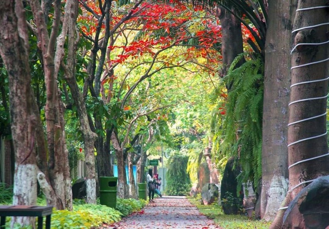 Khu đô thị nói không với cung đường, vỉa hè bê tông - Ảnh 4.