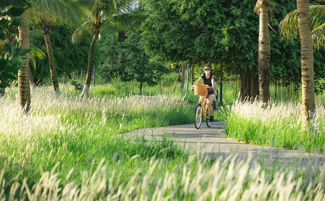 Khu đô thị nói không với cung đường, vỉa hè bê tông - Ảnh 6.