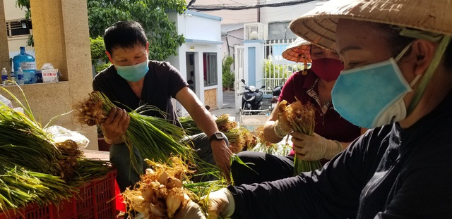 Đảng viên nghỉ hưu viết thư xin gia nhập đội tình nguyện chống dịch - Ảnh 2.
