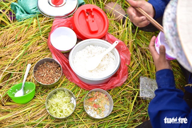 Gặt lúa, bắt cá mưu sinh giữa TP.HCM trong mùa dịch - Ảnh 9.