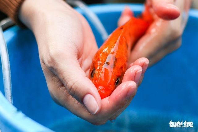 Năm nay khó khăn nhưng cũng ráng cho ông Táo về trời tươm tất - Ảnh 3.
