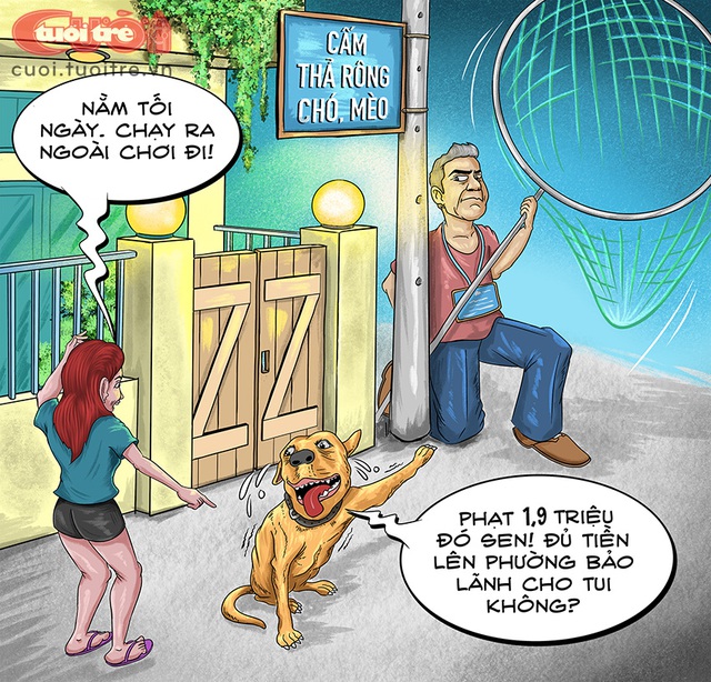 Biệt đội săn bắt chó thả rông ở TP Thủ Đức - Ảnh 1.