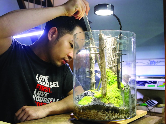 Đem thiên nhiên vào hộp Terrarium - Ảnh 2.
