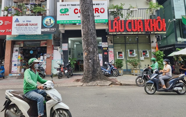 Có được đốn, dời cây xanh choán mặt tiền nhà? - Ảnh 1.