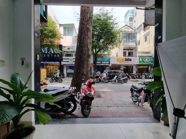 Có được đốn, dời cây xanh choán mặt tiền nhà? - Ảnh 2.