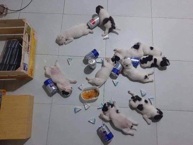 Ảnh vui 24-11: Vợ đẻ nên khuyến mãi trà sữa nha bà con! - Ảnh 5.