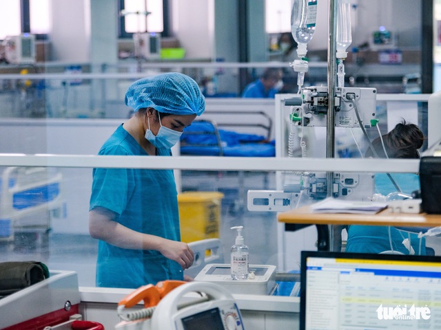Tin sáng 25-11: Giá heo thấp kéo dài, người chăn nuôi ra sao? 5 triệu dân TP.HCM đã có CCCD gắn chip - Ảnh 6.