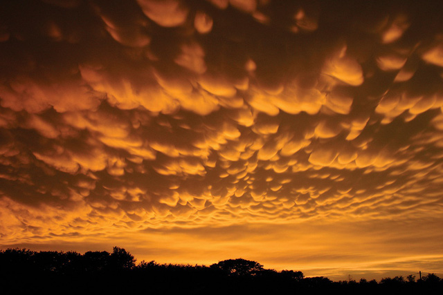9 kiểu mây kỳ lạ hiếm thấy trên bầu trời - Tuổi Trẻ Online