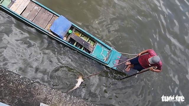 Xuyệt điện đánh bắt cá vẫn tung hoành trên kênh Nhiêu Lộc - Thị Nghè giữa ban ngày - Ảnh 3.
