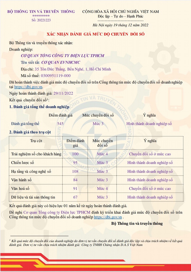 Điện lực TP.HCM được chứng nhận hình thành doanh nghiệp số - Ảnh 1.