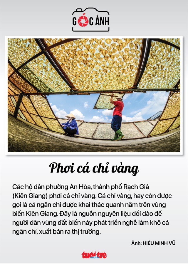 Tin tức sáng 23-12: Một năm phạt 2,8 triệu người vi phạm giao thông; Sắp khai thác thử metro TP.HCM - Ảnh 6.