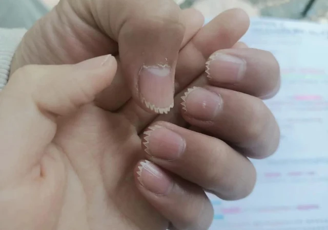 Ảnh vui 25-12: Chú cứ cưa đi, anh giữ cho! - Ảnh 4.