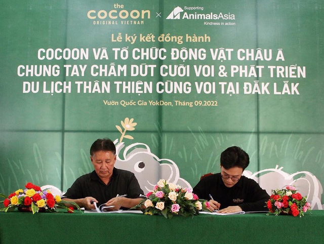 Chiến lược Marketing Mix 4P của Cocoon  Bước đột phá của thương hiệu Việt
